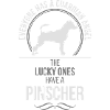 Pinscher Ange-Gardien Wilsigns