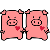 two cute pigs