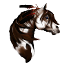 Feathered Paint Horse