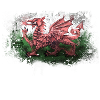 Cymru am Byth - Wales