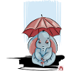 Elephant under his umbrella