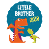 Piccolo Fratello e sorelle Fratello 2018 T-shirt