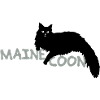 Maine coon