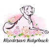Rhodesian Ridgeback