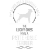 Patterdale TERRIER Ange-Gardien Wilsigns