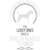 Parson Russell Terrier Wilsigns Ange-Gardien