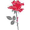 Rose (Sleeping Beauty)