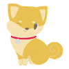 Shiba
