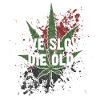 live slow - die old