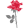 roses