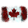 Graffiti drapeau canadien