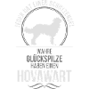HOVAWART Schutzengel Wilsigns
