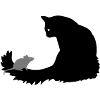 Cat & Mouse
