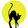 black cat full moon