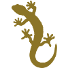 gecko