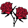 roses4