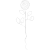 rose