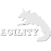 Agility Border Blanc