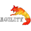 Agility Border Espagne
