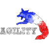Agility Border France