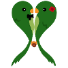 Parakeets in love