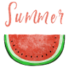 Summer Time Watermelon - Melon - Summer