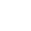 Drone pilot