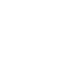 DIGITAL NATIVE