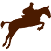 horse jumping obstacle monte1