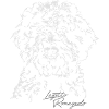 LAGOTTO ROMAGNOLO Portrait Wilsigns