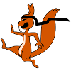 Ninja Squirrel