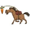 Heste gulrot gulerod ridning