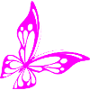 Butterfly neon