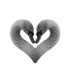 A heart for animals