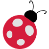 Ladybug