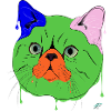 Exotic Shorthair