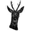Rehbock Portrait Schwarz