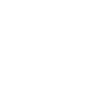 fliegenfischer