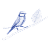 Vogel