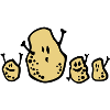 potatoes
