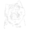 EURASIER Portrait Wilsigns