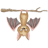 süße Fledermaus
