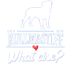 Bullmastiff what else?
