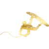 Wakeboarder gold waves gift