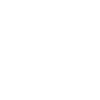 skull and flowers