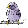 The sparrow, your friend