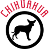 Chihuahua 2c
