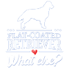 Flat-Coated Retriever quoi d'autre?