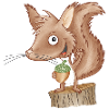 keckes Eichhörnchen