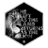 Lion Coming Soon by JT4Christ